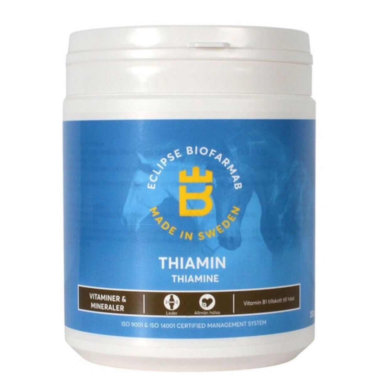 Eclipse Biofarmab Thiamin
