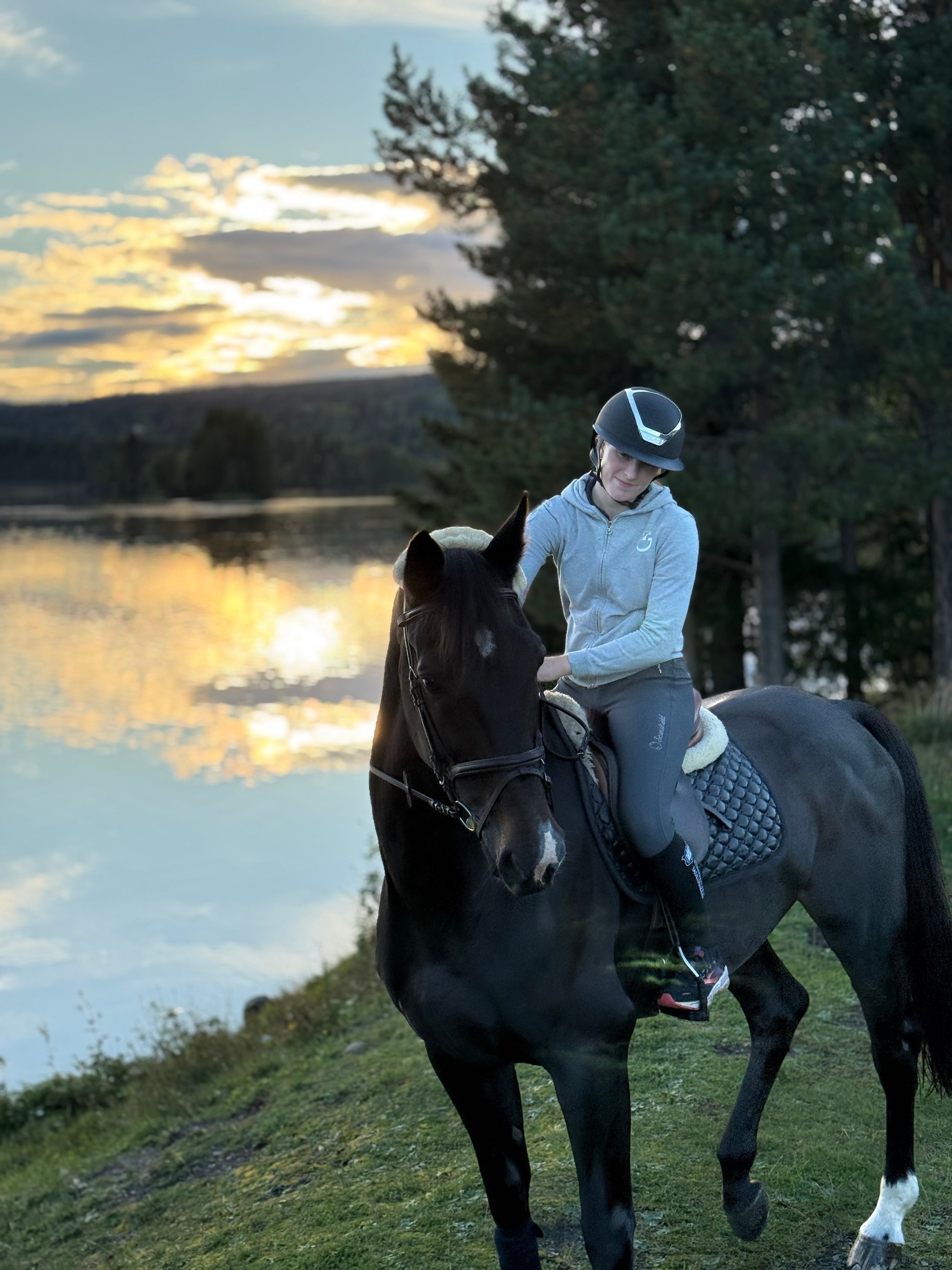Ridning av andras hästar