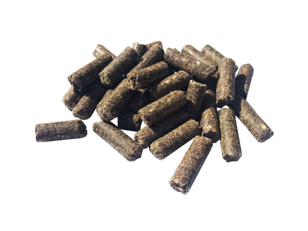 Pavo Performance 20 kg