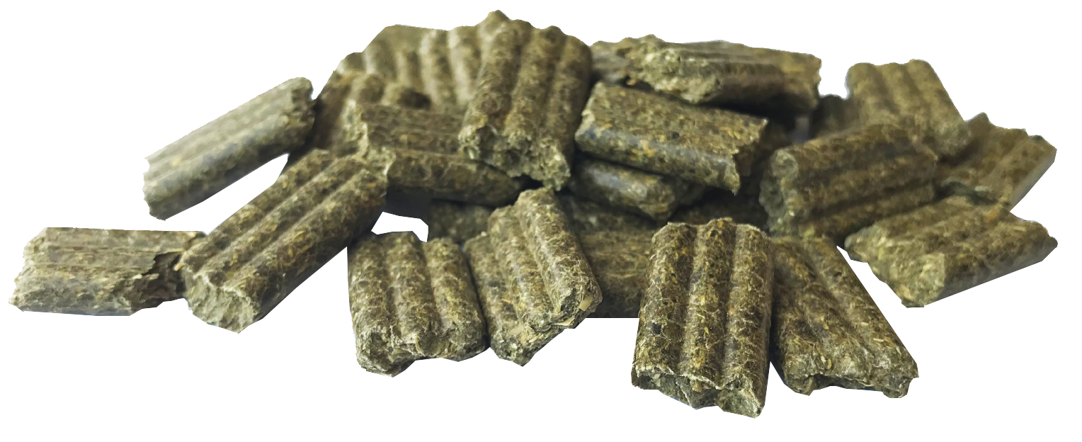 Pavo FibreBeet 15 kg