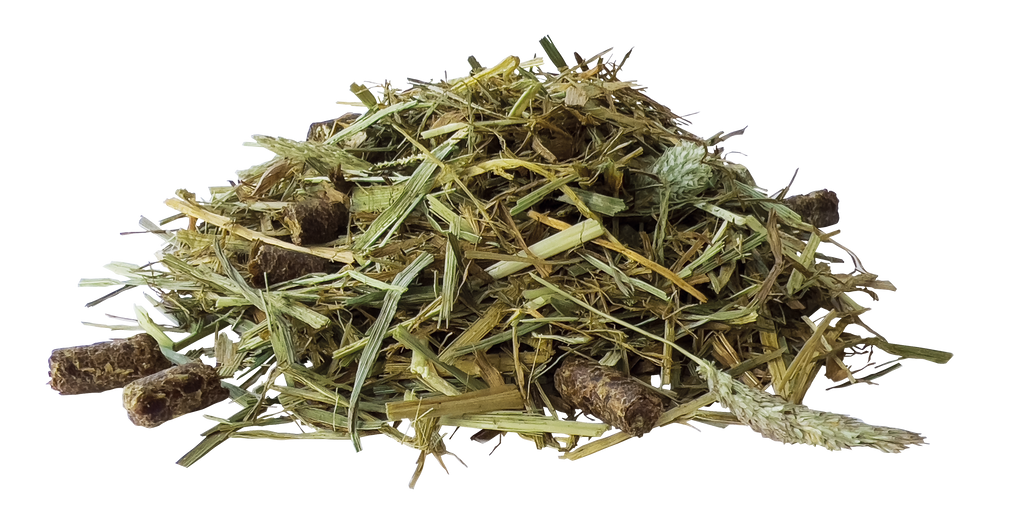 Pavo SeniorFibre 12 kg